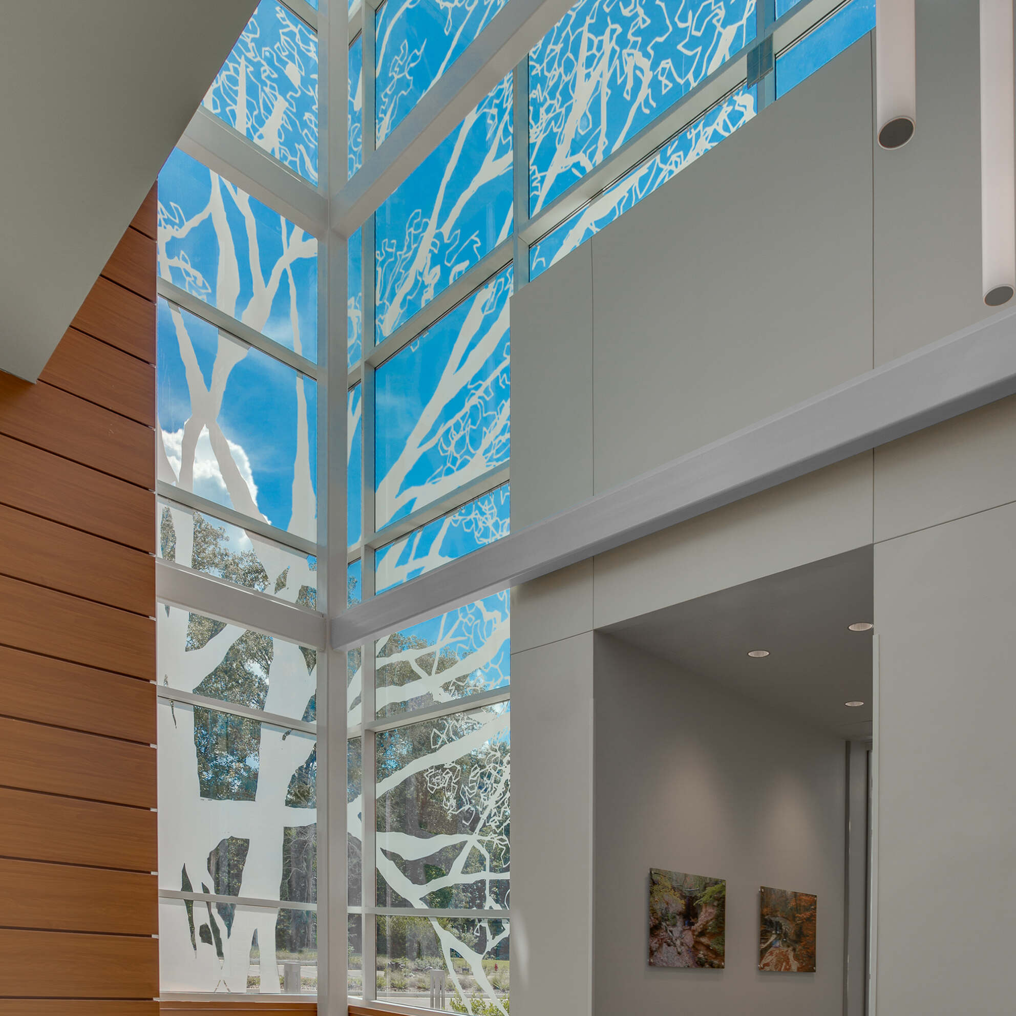 Grace Hebert Curtis Architects | West Feliciana Parish Hospital